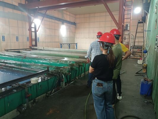 Giá tốt Cần cẩu nâng đặc biệt CDEY cho dây chuyền oxy hóa anodizing nhôm | Xưởng oxy hóa dầm đôi tự động Cần cẩu du lịch được tùy chỉnh để xử lý bề mặt nhôm trực tuyến